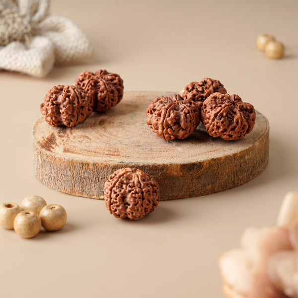 Rudraksha Water Therapy Beads