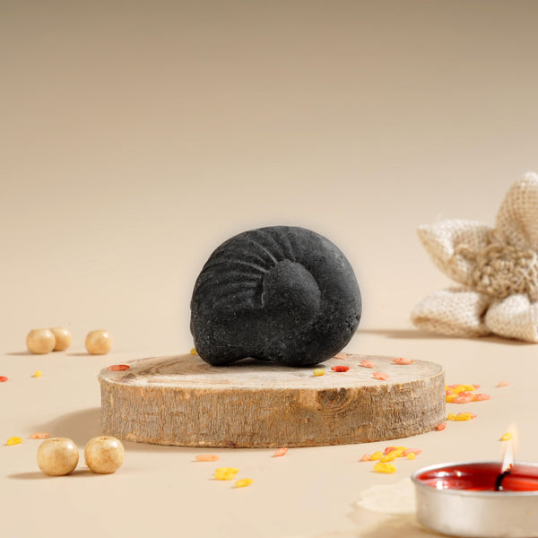 Maha Laxmi Shaligram