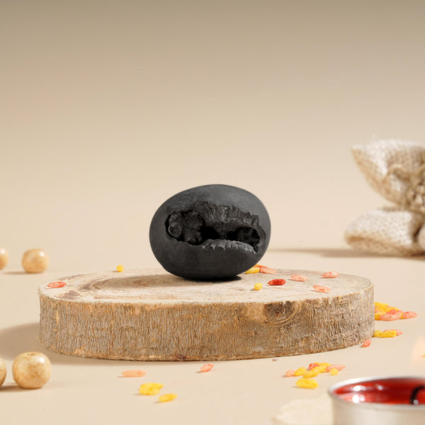 Laxmi Narayan Shaligram