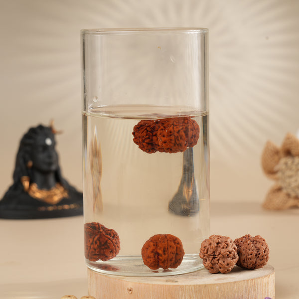 Rudraksha Water Therapy Beads