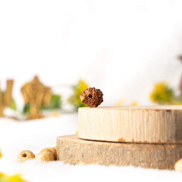 Ganesh Rudraksha (Java)