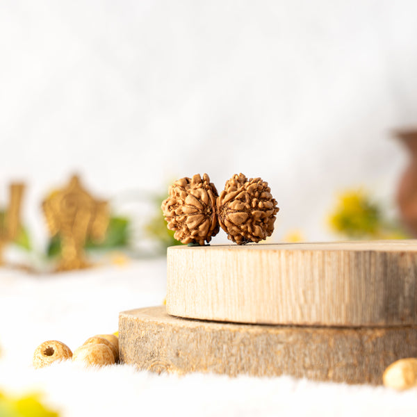 Gauri Shankar Rudraksha (Nepali)