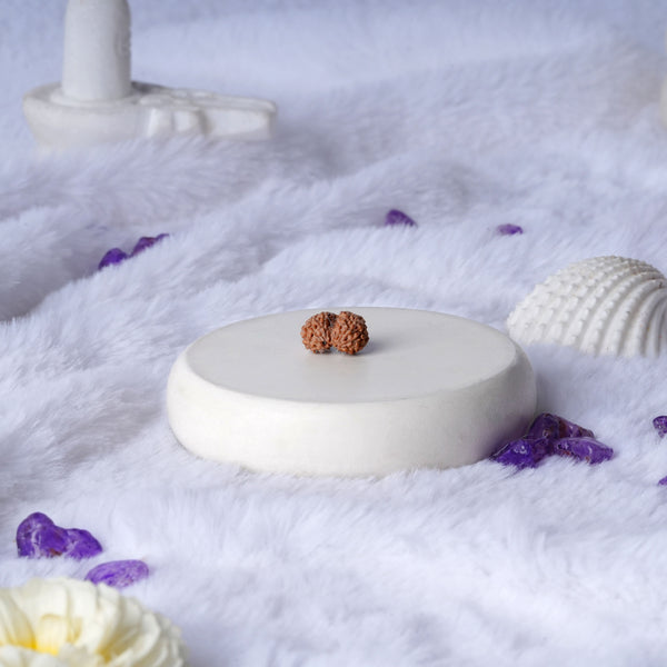 Gauri Shankar Rudraksha (Java)