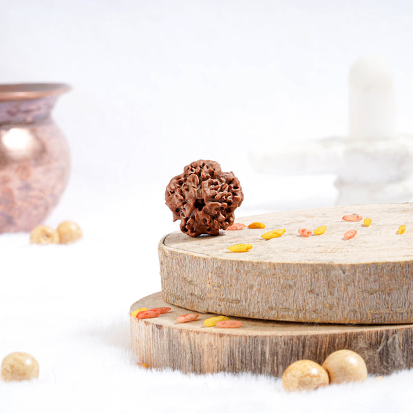 Nirakar Rudraksha